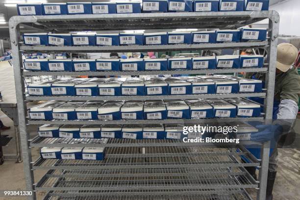 Boxes of shrimp sit on shelves on a cart at the Bowers Shrimp Farm in Palacios, Texas, U.S., on Thursday, July 5, 2018. The U.S. Census Bureau is...