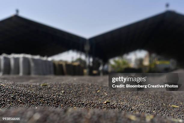 mustard seeds sit in piles at a wholesale grain market - mustard stock-fotos und bilder