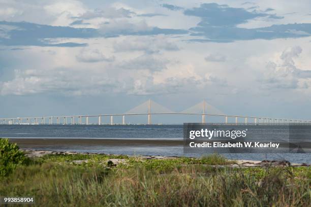 sunshine bridge - sunshine skyway bridge 個照片及圖片檔