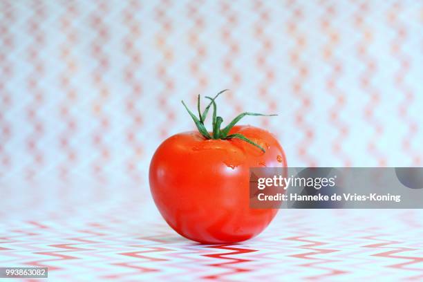 tomato, - koning stock pictures, royalty-free photos & images