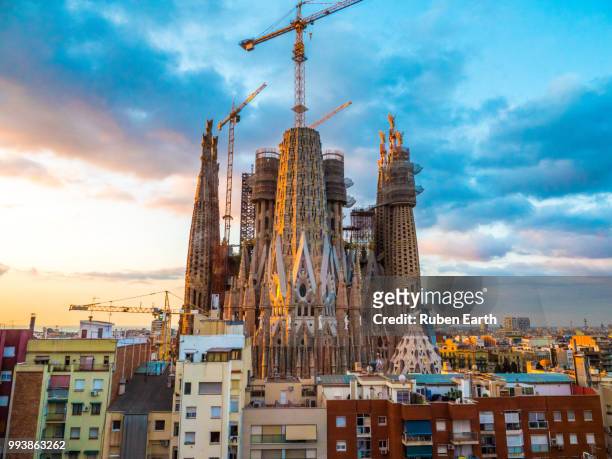 colourful sagrada familia church during sunrise in barcelona - sagrada familia foto e immagini stock
