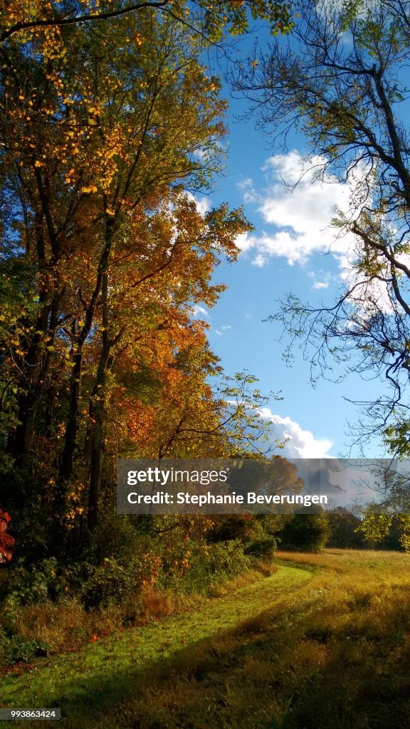 October Rural Sceans Rural Autumn Landscape High-Res Stock Photo - Getty Images