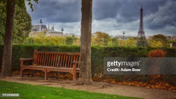 jardin des tuileries - jardin stock pictures, royalty-free photos & images