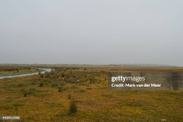 wetlands of terschelling - meer stock pictures, royalty-free photos & images
