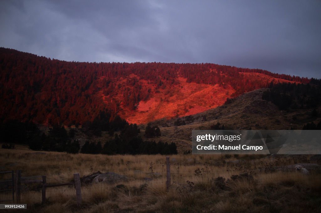 Autumn in the mountain