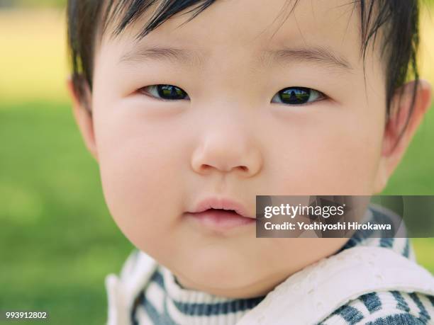 toddler girl ( 6-11 months ) portrait on lawn at park under sunshine - stadtteil koto stock-fotos und bilder