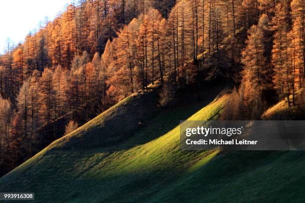 photo by: michael leitner - leitner photos et images de collection