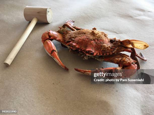 cooked, single cooked chesapeake bay crab & mallet - butcher paper foto e immagini stock