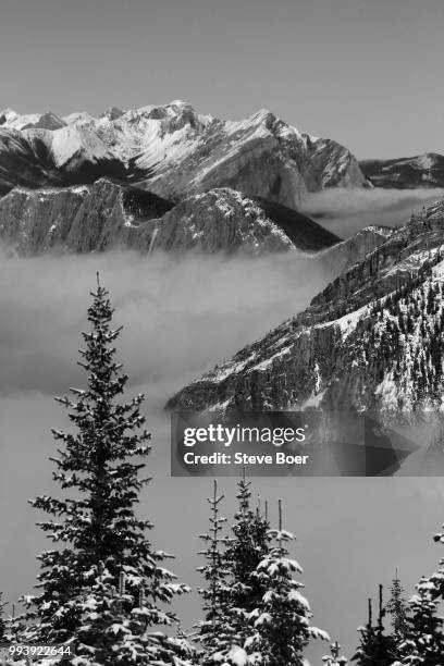 skyline trail view - broer foto e immagini stock