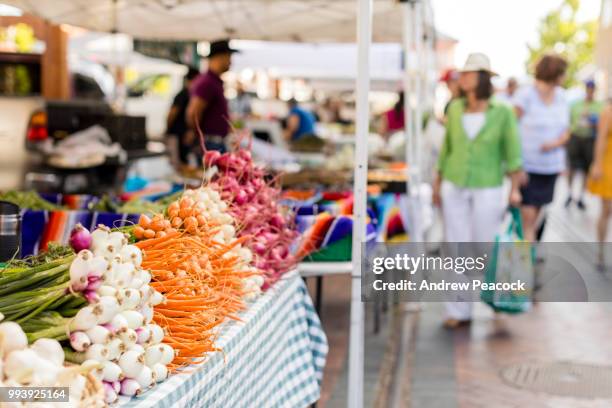 shoppers at the santa fe farmers market at the railyard in town. - santa fe stockfoto's en -beelden