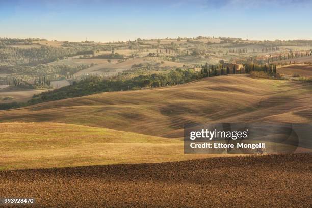 orcia, trattore - trattore stock pictures, royalty-free photos & images