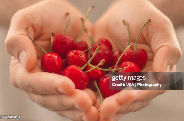 love is sweet - bing cherry stock pictures, royalty-free photos & images