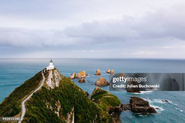 nugget point lighthouse - nugget point imagens e fotografias de stock