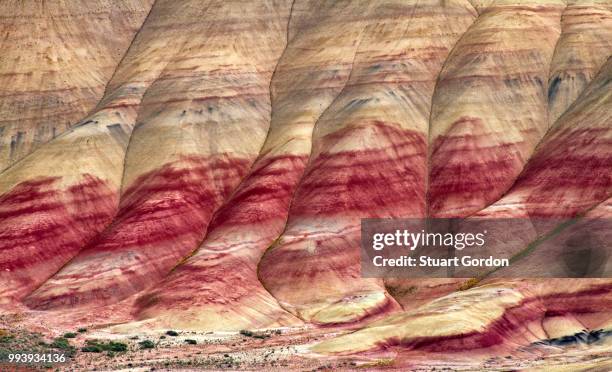 painted hills - fossil site stock pictures, royalty-free photos & images