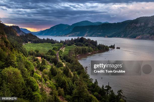 columbia river view ii - columbia river gorge oregon stock pictures, royalty-free photos & images