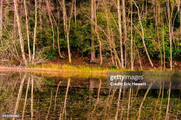 Penilake High-Res Stock Photo
