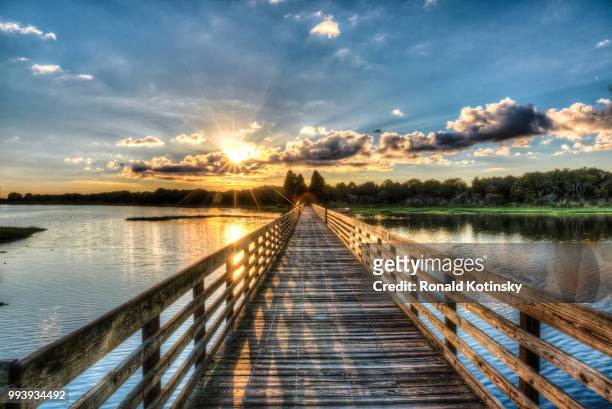 sunset at the lake - kotinsky stock pictures, royalty-free photos & images