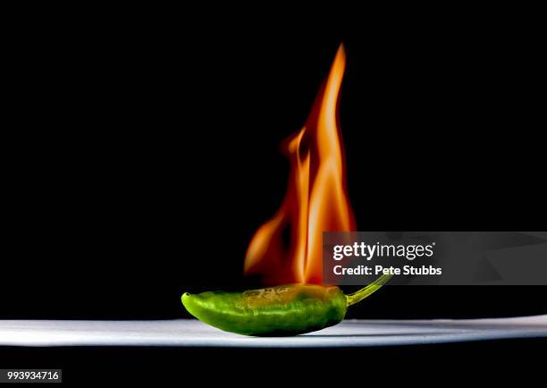 hot chili - stubbs stock pictures, royalty-free photos & images