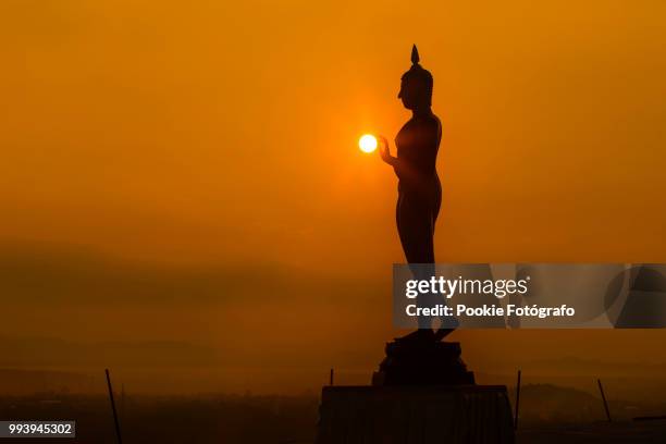 walking buddha - fotógrafo stock pictures, royalty-free photos & images