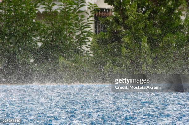 rain - mostefa stock pictures, royalty-free photos & images