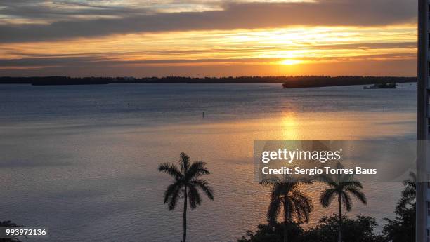 brickell sun - brickell stockfoto's en -beelden