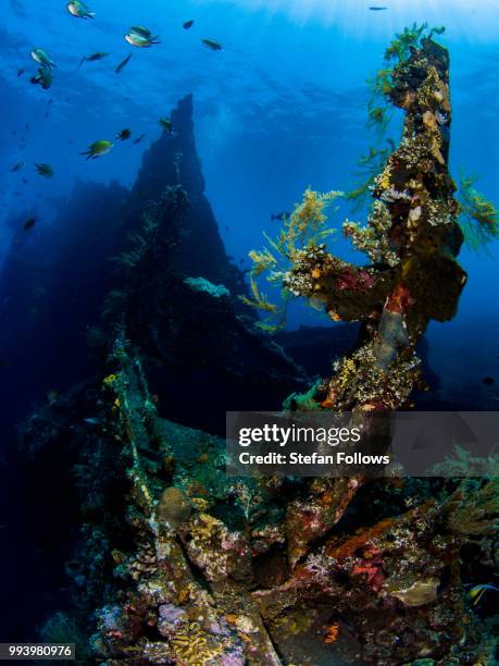 sweet liberty iv - wreck diving stock pictures, royalty-free photos & images