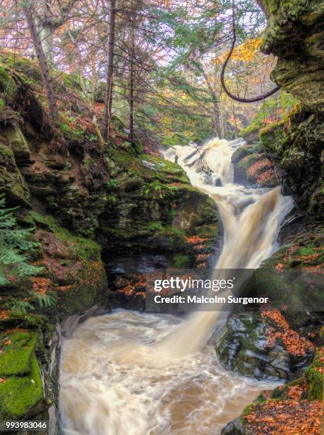 Malcolm Rivers 470 Malcolm Rivers Stock Photos, High-Res Pictures, and Images - Getty ...
