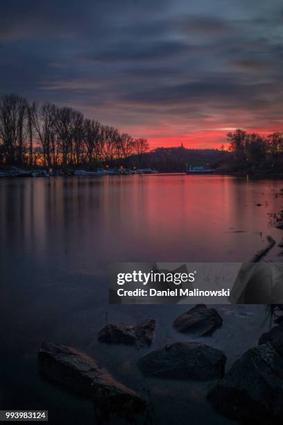 rhein river in rudesheim - rudesheim stock pictures, royalty-free photos & images