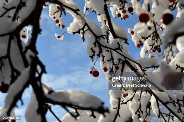 look to the sky - bret schwalb stock pictures, royalty-free photos & images