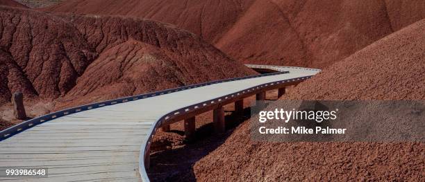 path - fossil site stockfoto's en -beelden