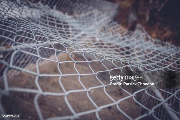 fence blocking the stairs - crocodiles nest stock pictures, royalty-free photos & images