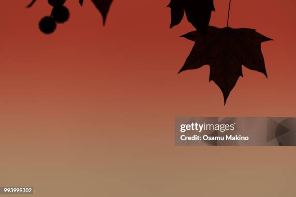 fall season deepens - dragon cartoon stock pictures, royalty-free photos & images