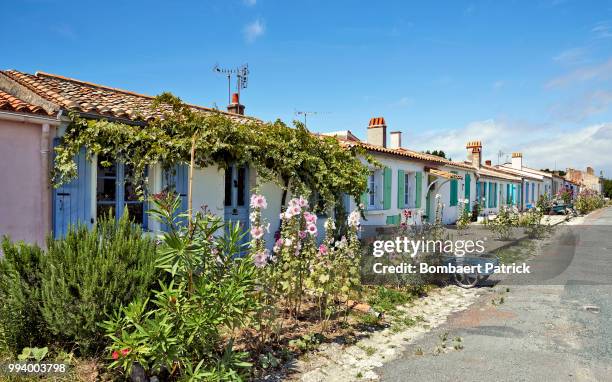 aix island in charente-maritime, france - charente stock pictures, royalty-free photos & images