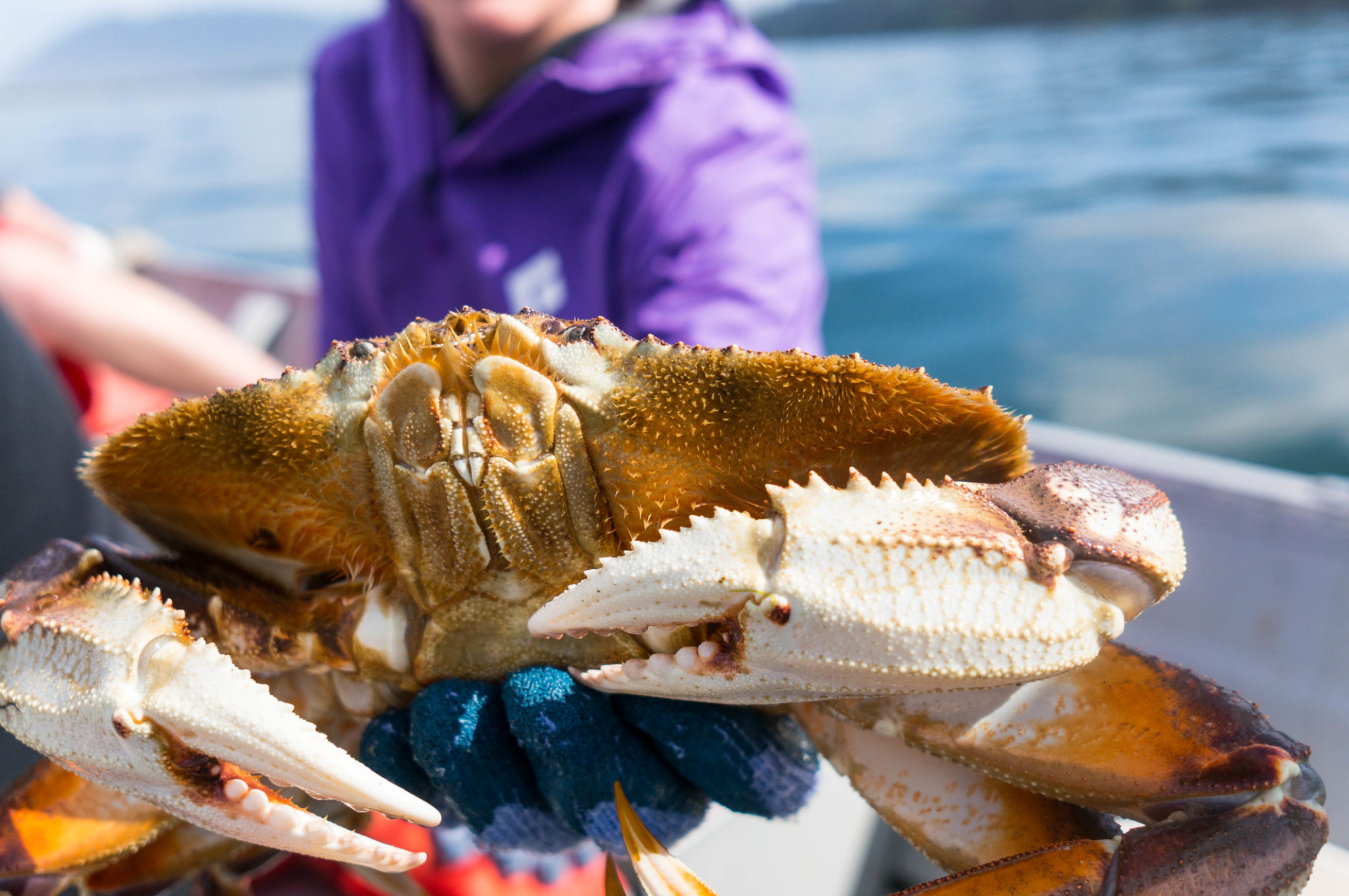 oregon coast seafood