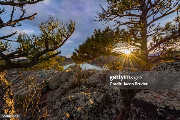 looking beyond - bruder imagens e fotografias de stock