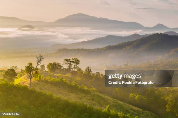 sea of mist - fotógrafo stock pictures, royalty-free photos & images