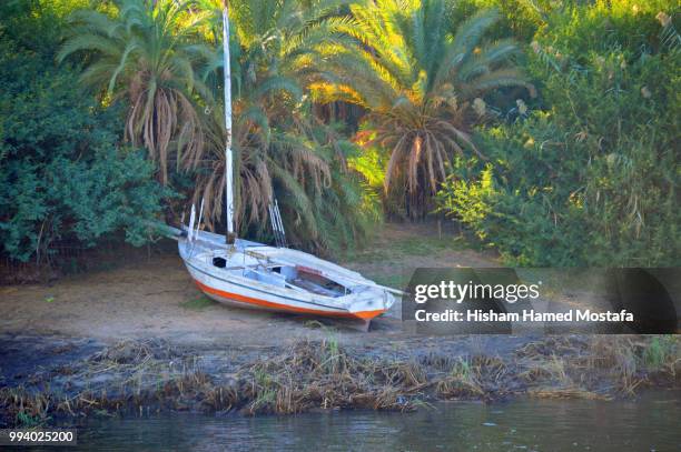 alone on the river side. - mostefa stock pictures, royalty-free photos & images