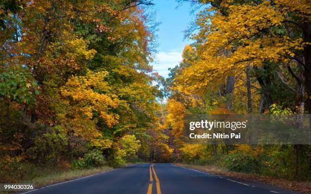 leading into the beautiful fall - pai stockfoto's en -beelden