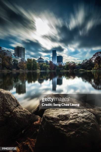 harlem meer - meer stock pictures, royalty-free photos & images