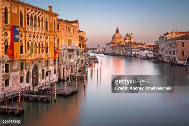 santa maria della salute church in venice - santa maria della salute celebrations in venice stock pictures, royalty-free photos & images