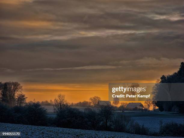 first snow - peter snow stock pictures, royalty-free photos & images