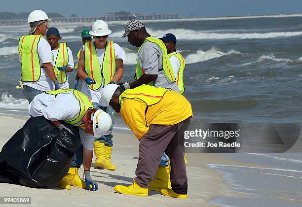 Workers search the beach for tar balls to be picked up as they wash ashore from the Deepwater Horizon site on May 14, 2010 in Dauphin Island,...