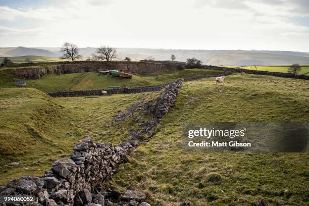 beautiful landscape of peak district in uk with famous stone wal - wal 個照片及圖片檔