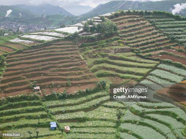 Praou 115 Prau Stock Photos, High-Res Pictures, and Images - Getty Images