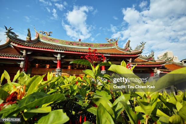 hsing tian temple - chien stockfoto's en -beelden