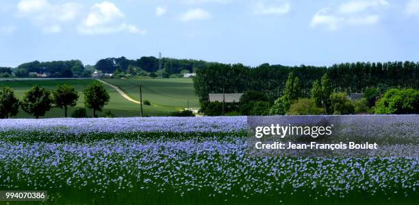 i miss summer - boulet stockfoto's en -beelden