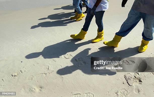 Workers search the beach for tar balls to be picked up as they wash ashore from the Deepwater Horizon site on May 14, 2010 in Dauphin Island,...