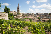 Vineyards at Saint Emilion city center, France