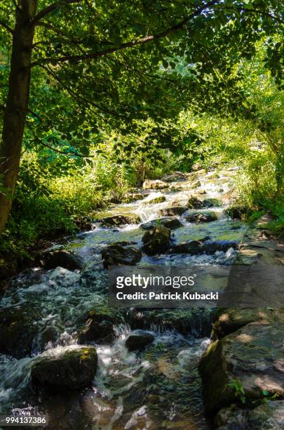 pfrimmpark 08 - kubacki stock pictures, royalty-free photos & images