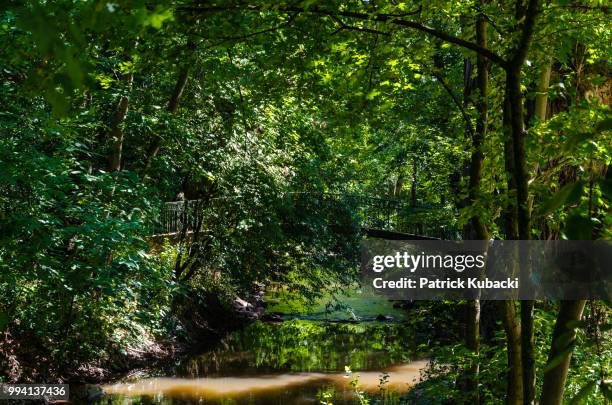 bridge over not so troubled water - kubacki stock pictures, royalty-free photos & images